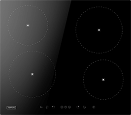 Induktionsfeld Reparatur Halberstadt
